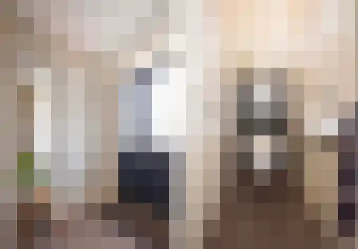 Burg. Van den Oeverstraat 5 Haaren thumbnail 4