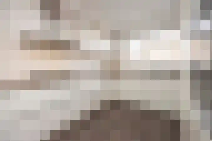 Burg. Van den Oeverstraat 5 Haaren thumbnail 7