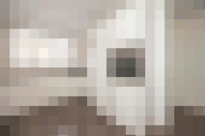 Burg. Van den Oeverstraat 5 Haaren thumbnail 8