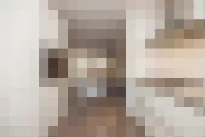 Burg. Van den Oeverstraat 5 Haaren thumbnail 9