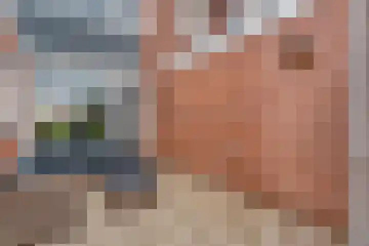 Burg.van der Grondenstraat 27 Nieuwleusen thumbnail 18