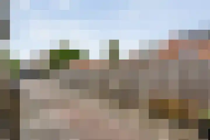 Burg.van der Grondenstraat 27 Nieuwleusen thumbnail 21
