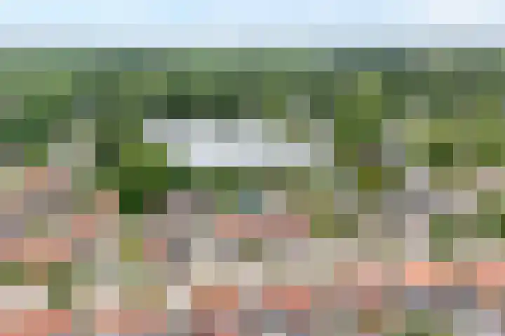 Burg.van der Grondenstraat 27 Nieuwleusen thumbnail 4