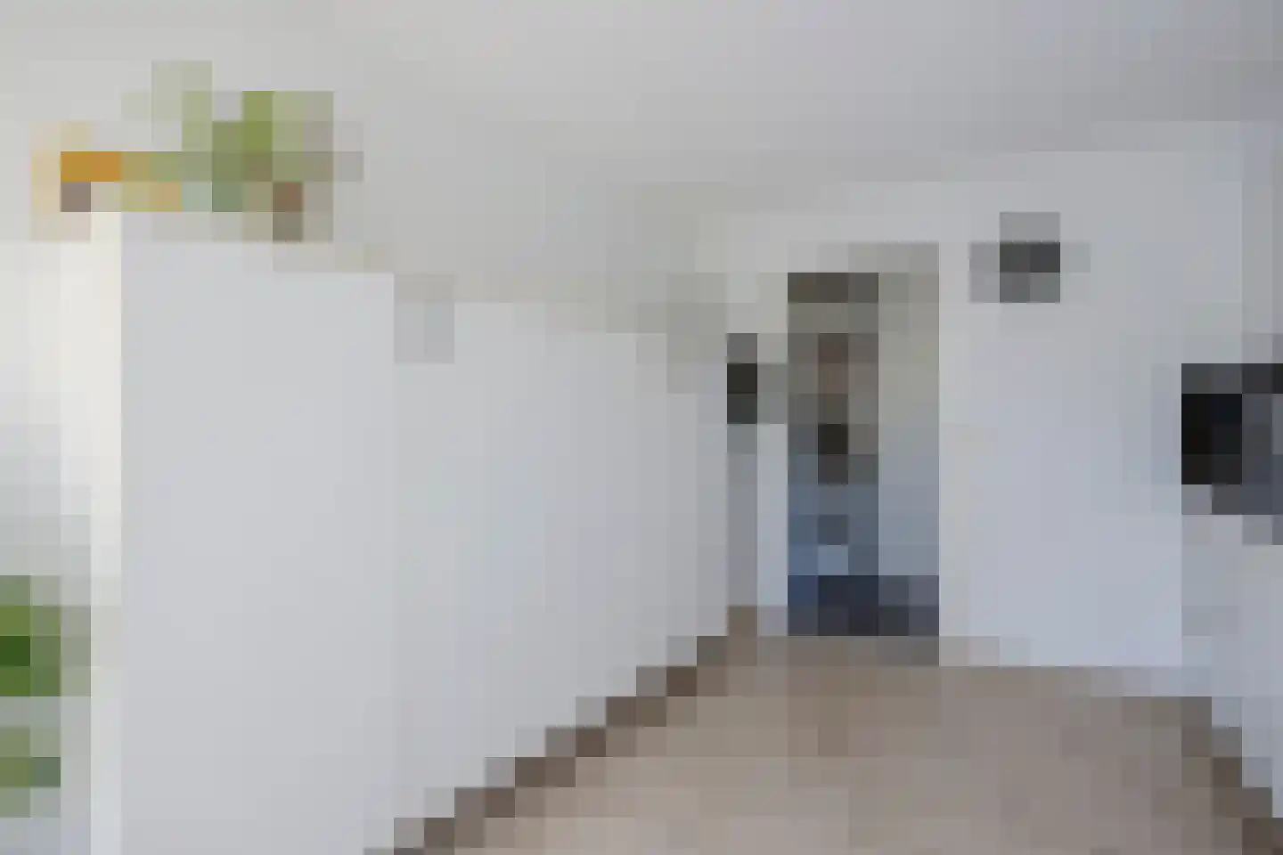 Burg.van der Grondenstraat 32 A Nieuwleusen thumbnail 13