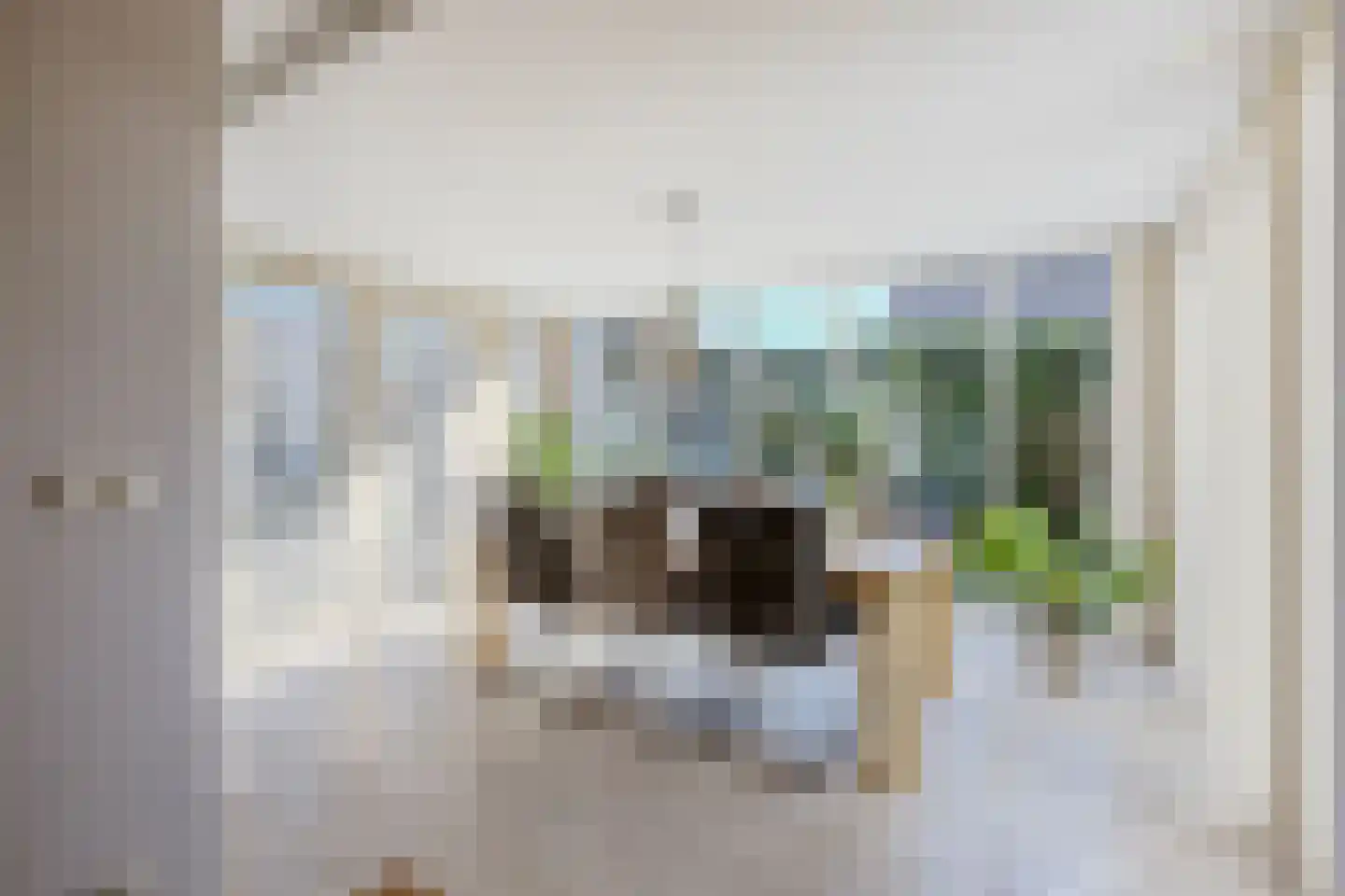 Burg.van der Grondenstraat 32 A Nieuwleusen thumbnail 16