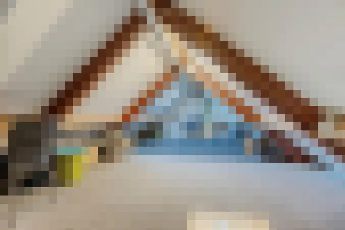 Burg.van der Grondenstraat 32 A Nieuwleusen thumbnail 41