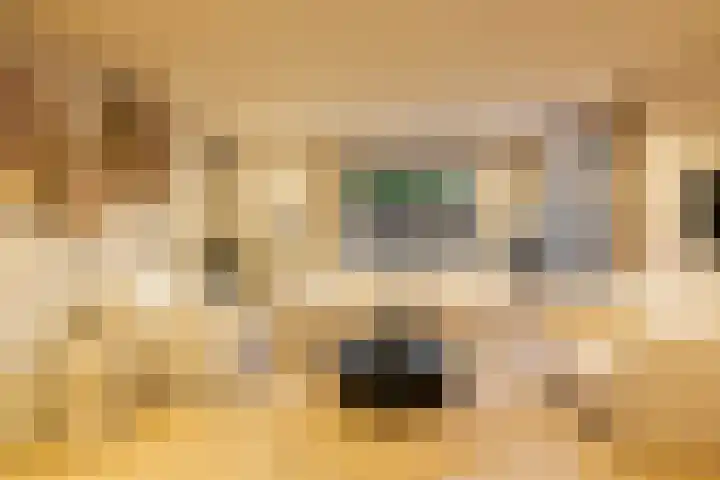 Burg van der Lelijkade 16 Maasland thumbnail 10