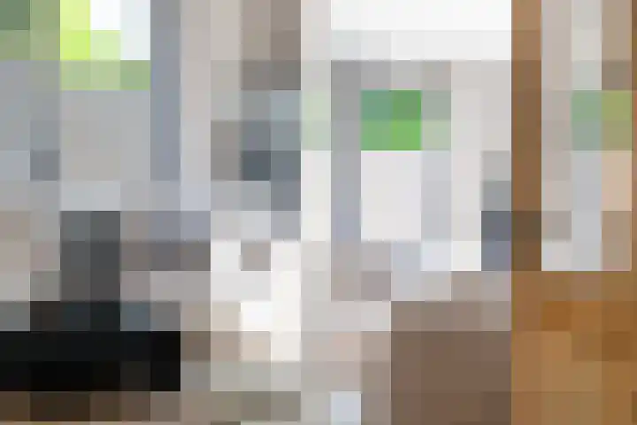Burg van der Lelijkade 16 Maasland thumbnail 11