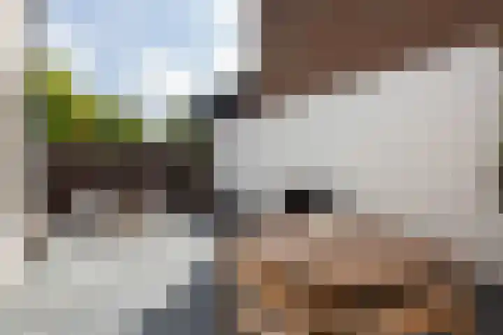 Burg van der Lelijkade 16 Maasland thumbnail 12