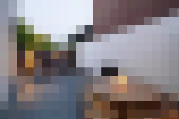 Burg van der Lelijkade 16 Maasland thumbnail 13