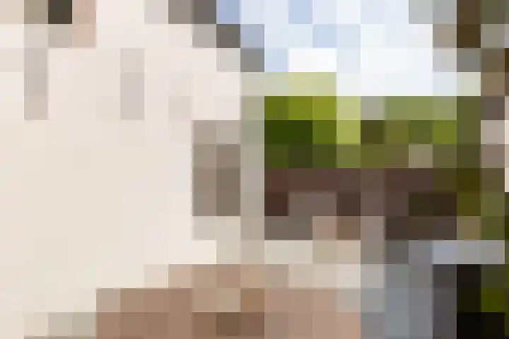 Burg van der Lelijkade 16 Maasland thumbnail 14