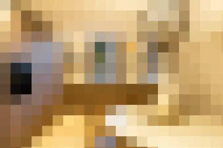 Burg van der Lelijkade 16 Maasland thumbnail 21