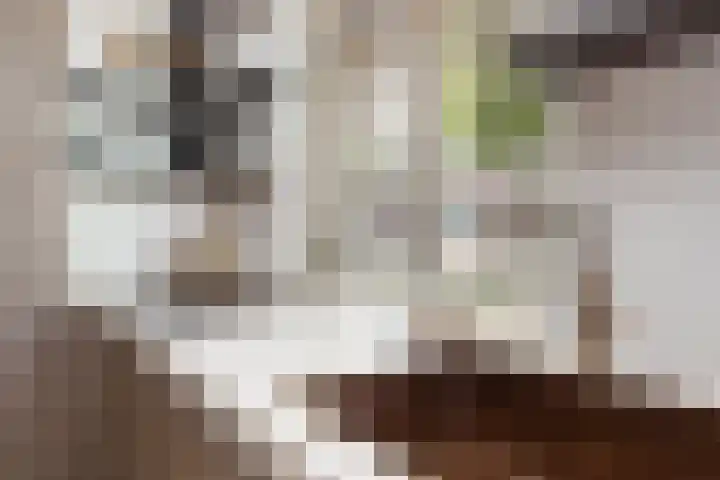 Burg van der Lelijkade 16 Maasland thumbnail 24