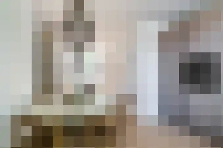 Burg van der Lelijkade 16 Maasland thumbnail 25