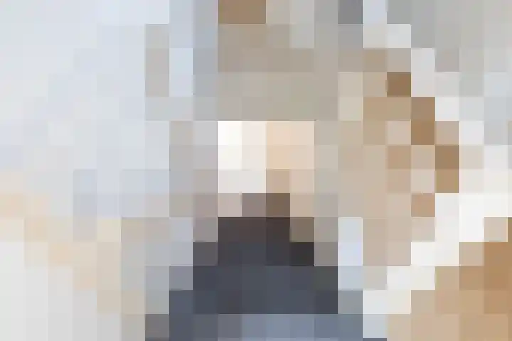 Burg van der Lelijkade 16 Maasland thumbnail 37