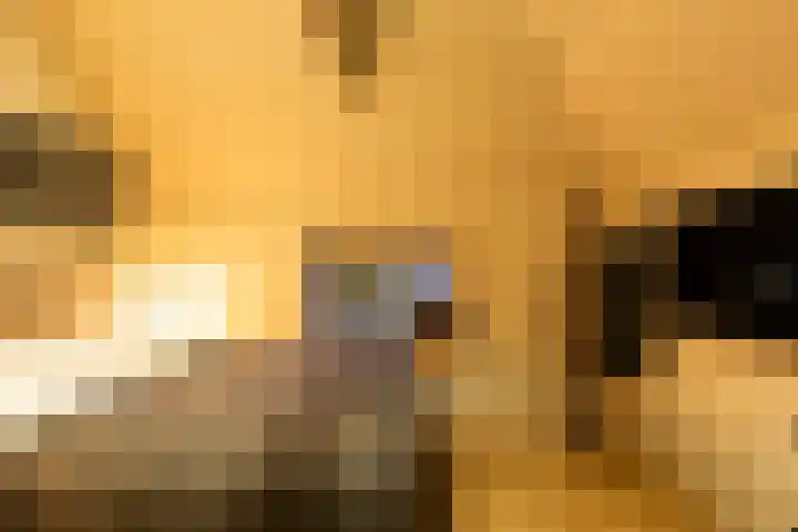 Burg van der Lelijkade 16 Maasland thumbnail 41