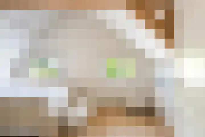 Burg van der Lelijkade 16 Maasland thumbnail 47
