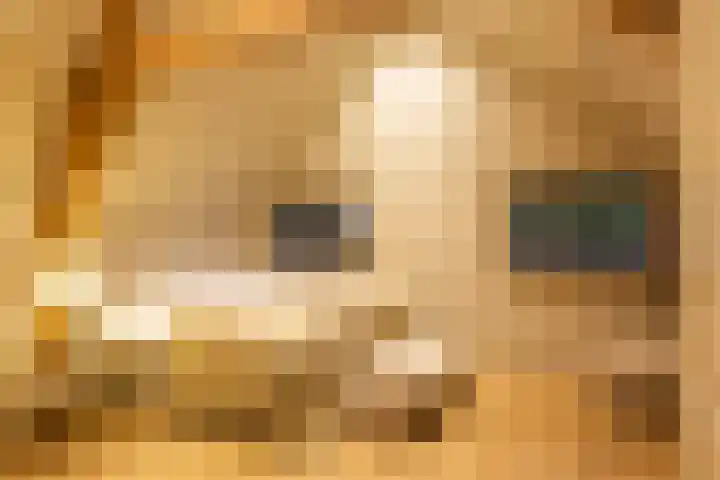 Burg van der Lelijkade 16 Maasland thumbnail 48
