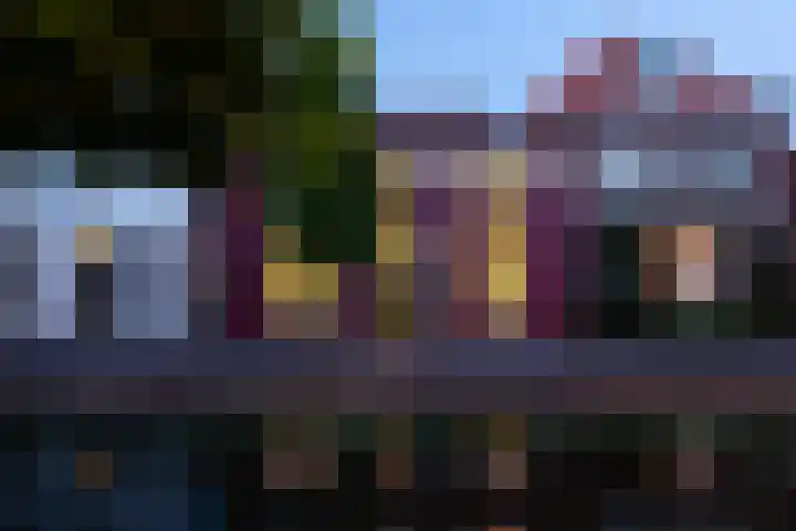 Burg van der Lelijkade 16 Maasland thumbnail 52