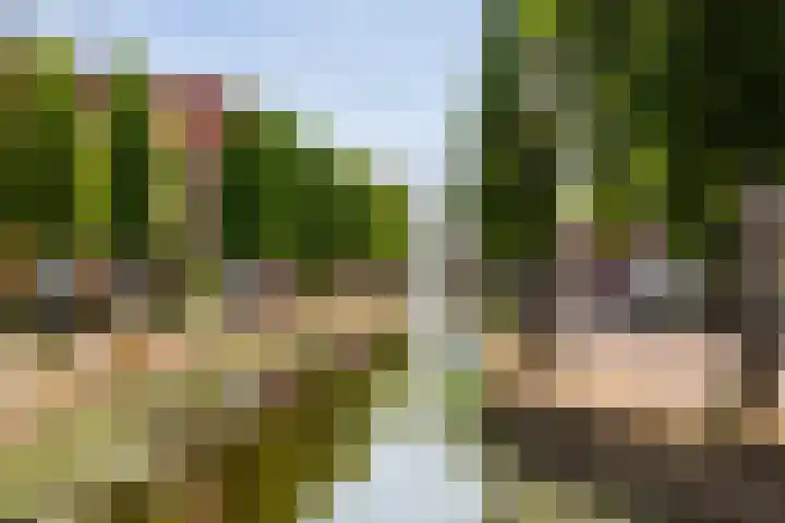 Burg van der Lelijkade 16 Maasland thumbnail 55