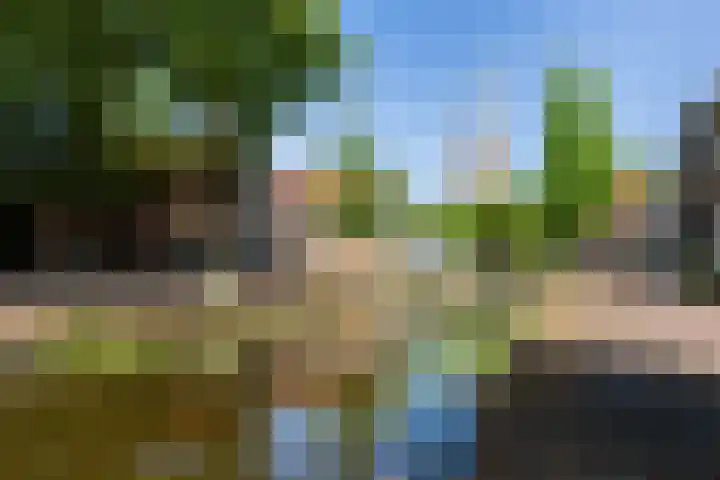 Burg van der Lelijkade 16 Maasland thumbnail 57