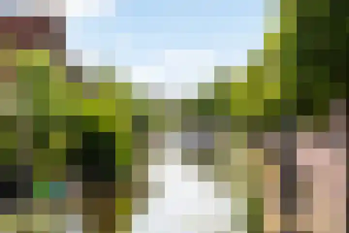 Burg van der Lelijkade 16 Maasland thumbnail 59