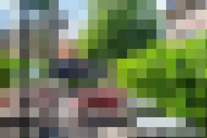 Burg van der Lelijkade 16 Maasland thumbnail 61