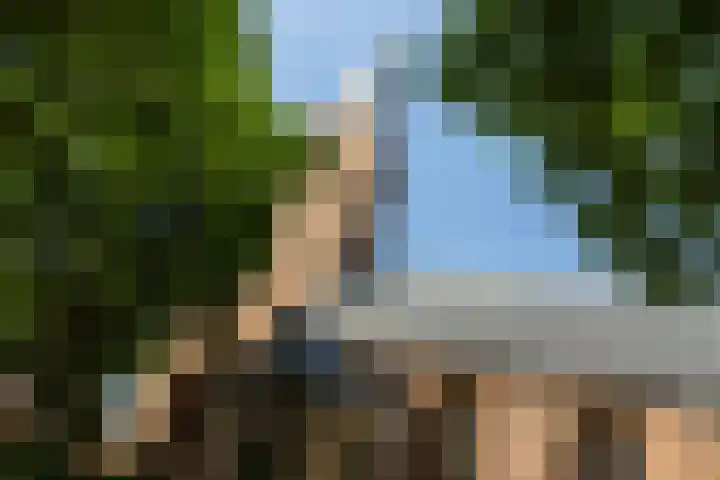 Burg van der Lelijkade 16 Maasland thumbnail 62