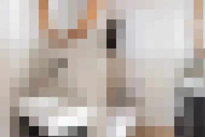 Burg van der Lelijkade 16 Maasland thumbnail 8