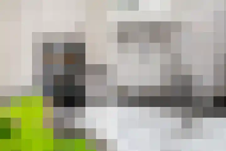 Burg. Van der Lelykade 4 Maassluis thumbnail 27