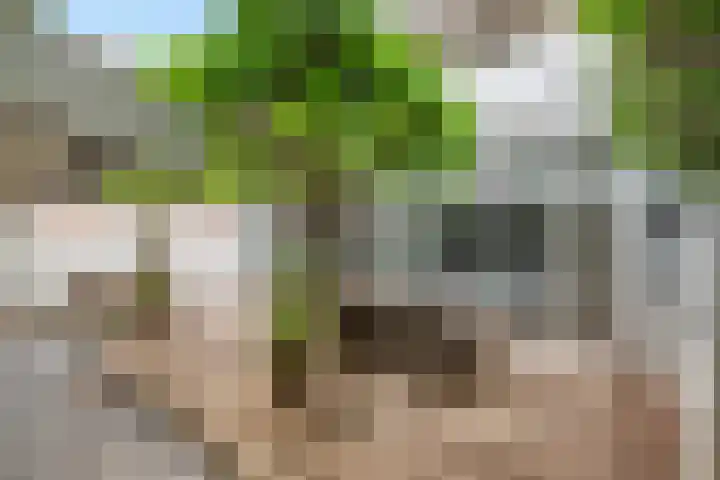 Burg. Van der Lelykade 4 Maassluis thumbnail 34