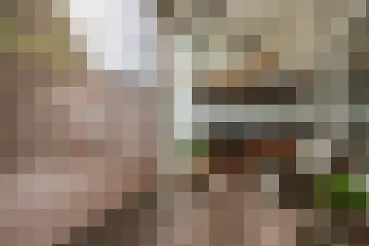 Burg. Van der Lelykade 4 Maassluis thumbnail 36