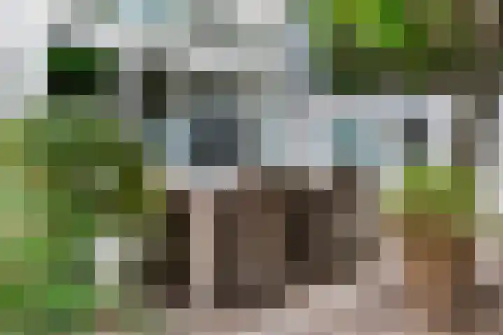 Burg. Van der Lelykade 4 Maassluis thumbnail 38
