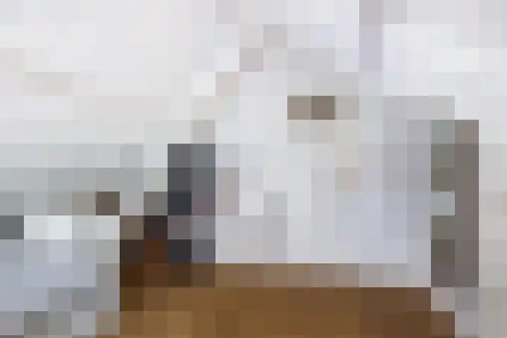 Burg. Van der Lelykade 4 Maassluis thumbnail 70