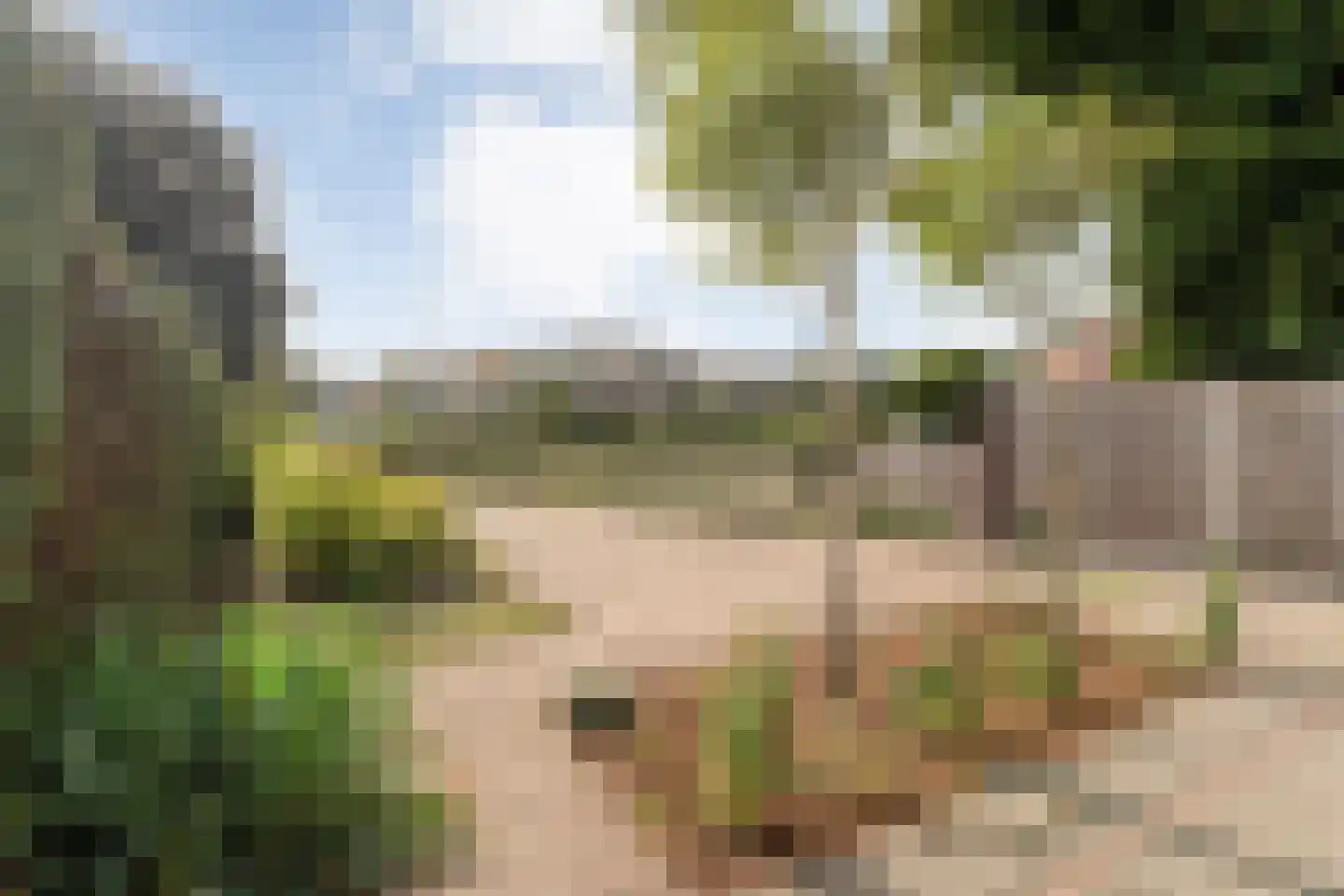 Burg van der Lelysingel 1 Coevorden thumbnail 10