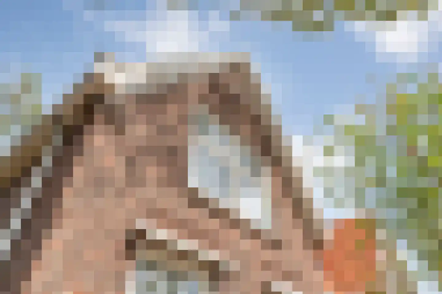 Burg van der Lelysingel 1 Coevorden thumbnail 11
