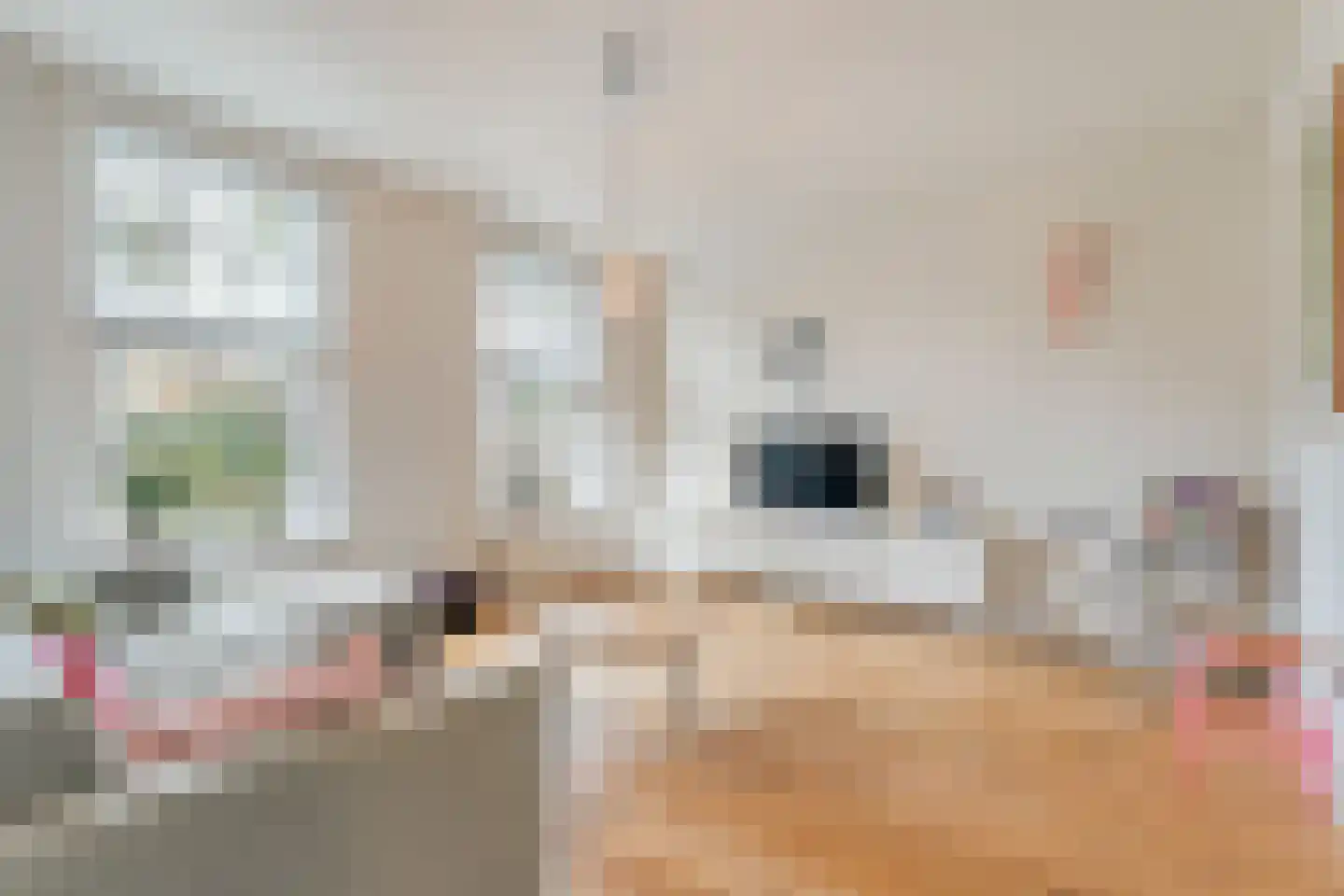 Burg van der Lelysingel 1 Coevorden thumbnail 17