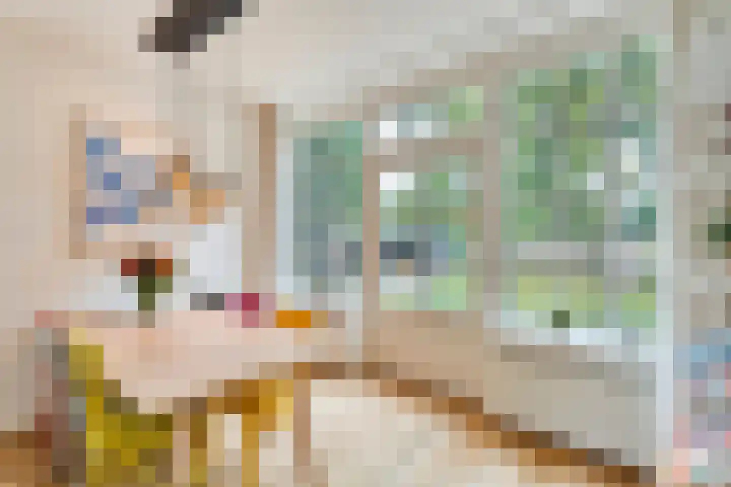 Burg van der Lelysingel 1 Coevorden thumbnail 26