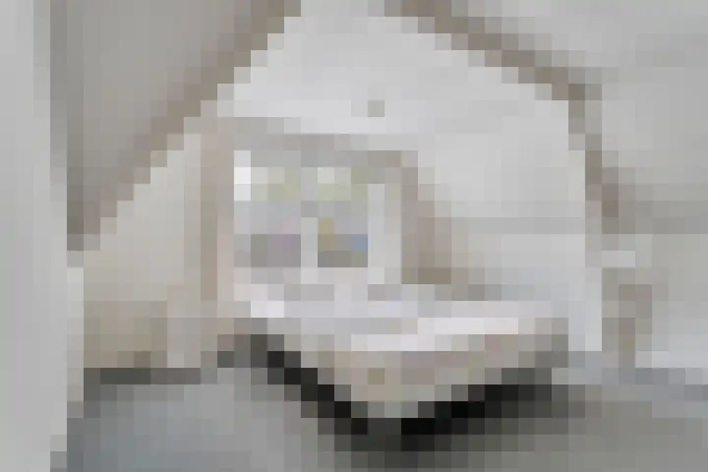 Burg van der Lelysingel 1 Coevorden thumbnail 37