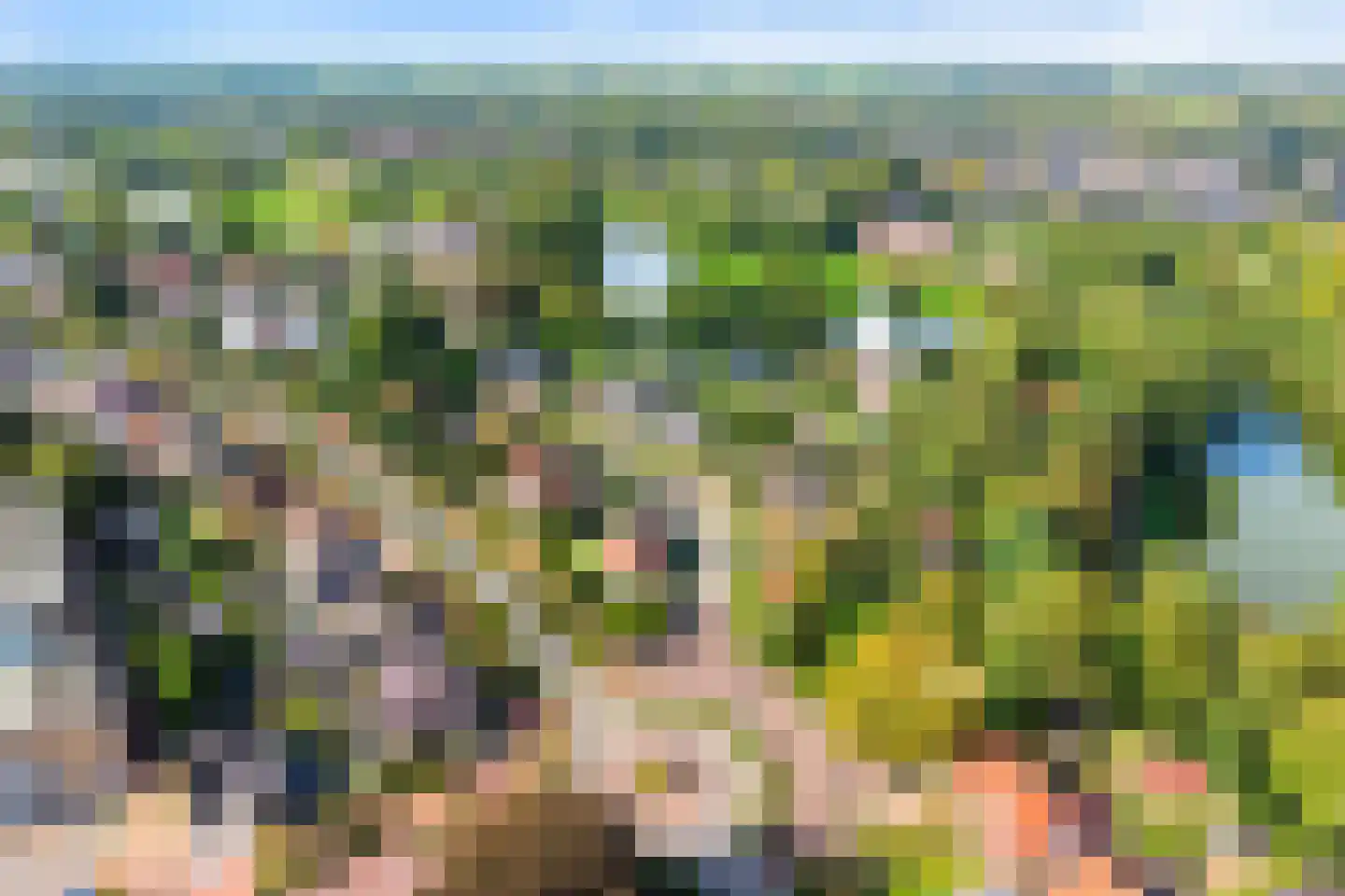 Burg van der Lelysingel 1 Coevorden thumbnail 4