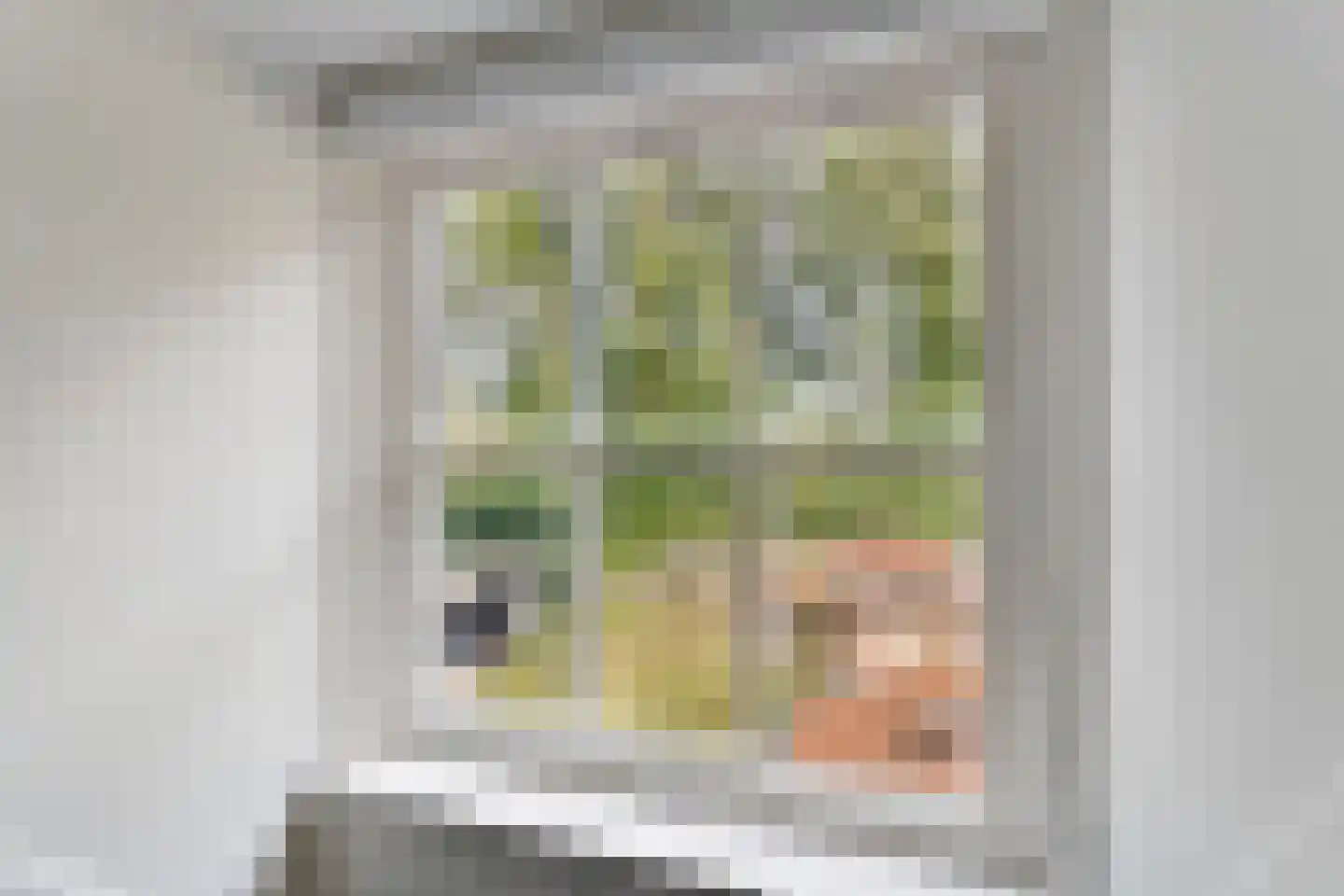 Burg van der Lelysingel 1 Coevorden thumbnail 43