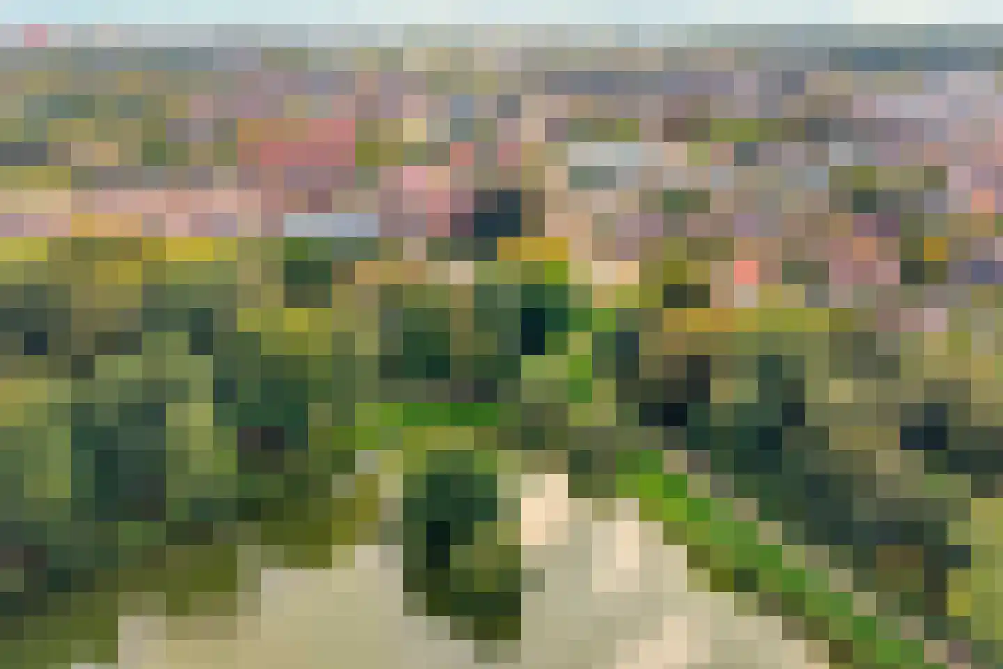 Burg van der Lelysingel 1 Coevorden thumbnail 5