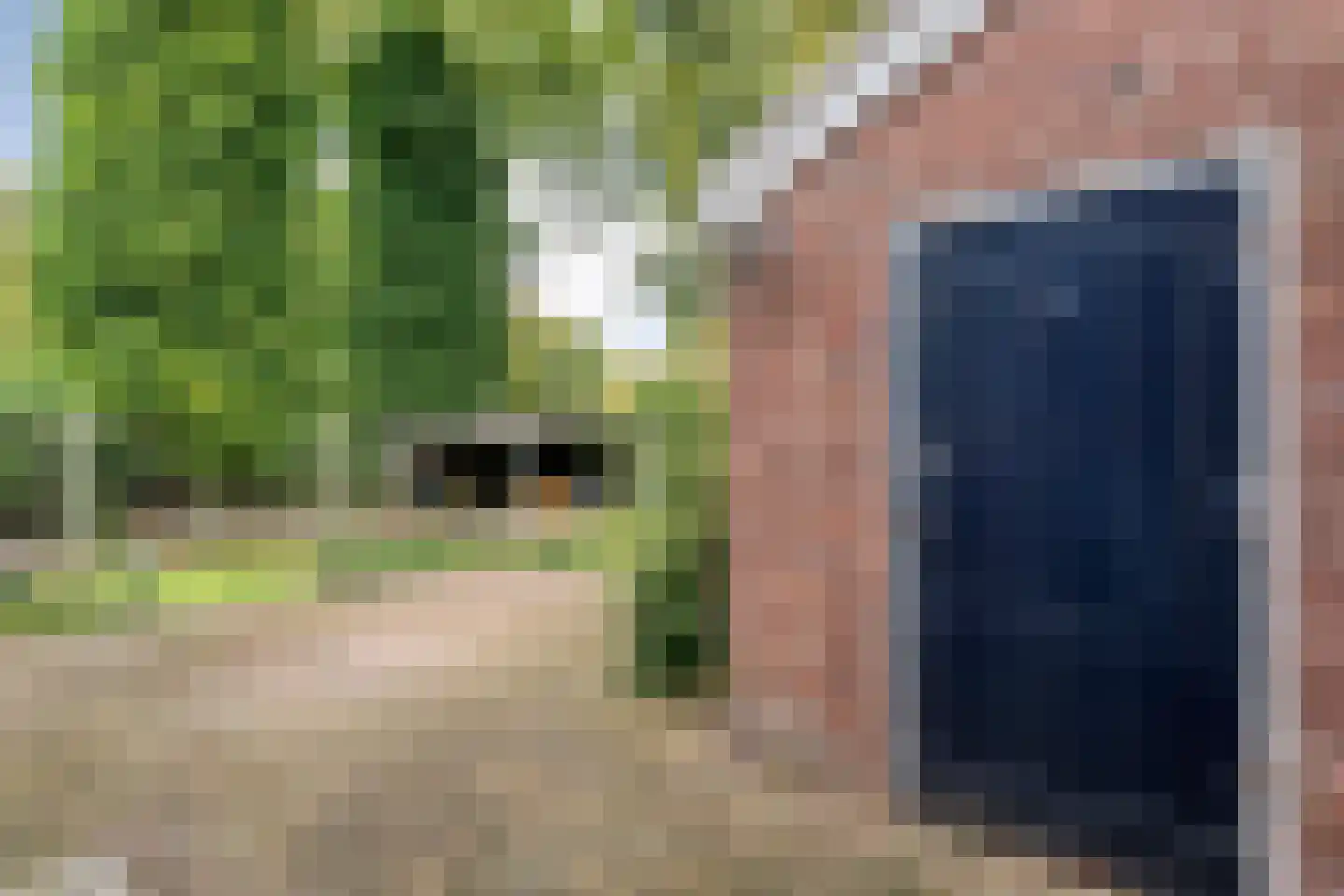 Burg van der Lelysingel 1 Coevorden thumbnail 51