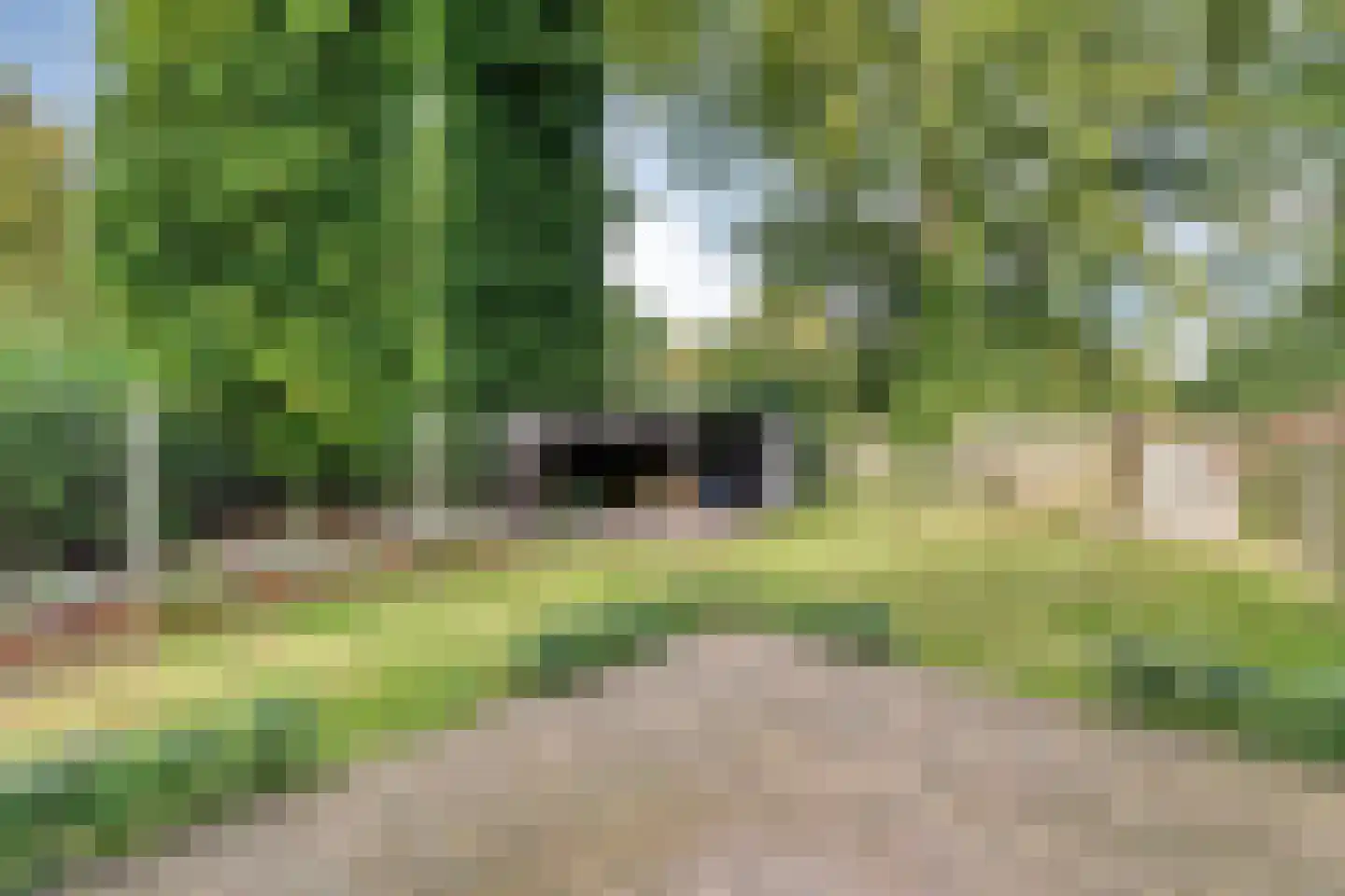 Burg van der Lelysingel 1 Coevorden thumbnail 52