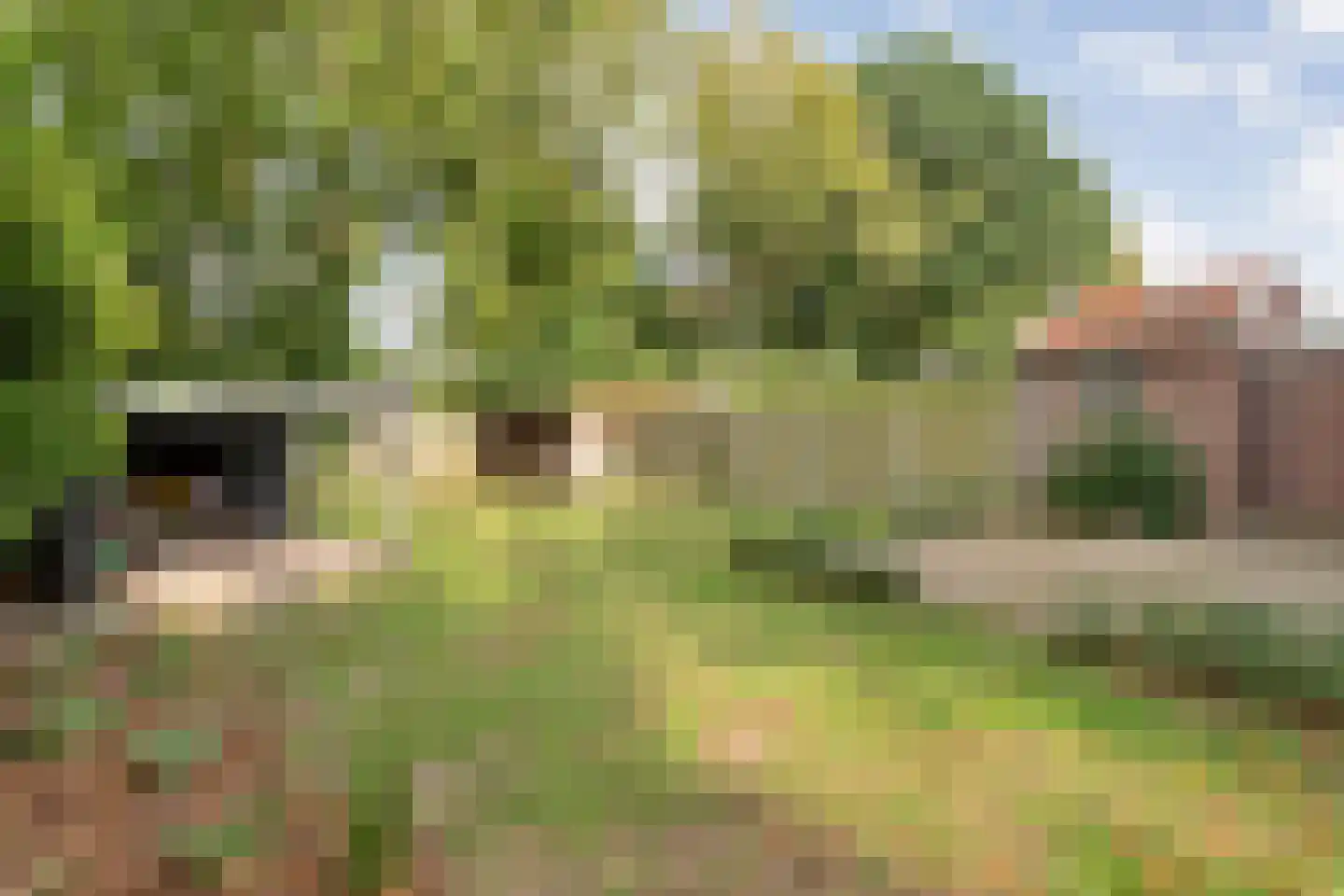Burg van der Lelysingel 1 Coevorden thumbnail 58