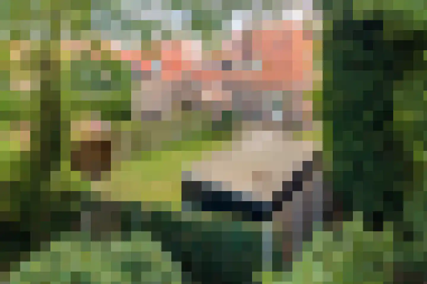Burg van der Lelysingel 1 Coevorden thumbnail 6