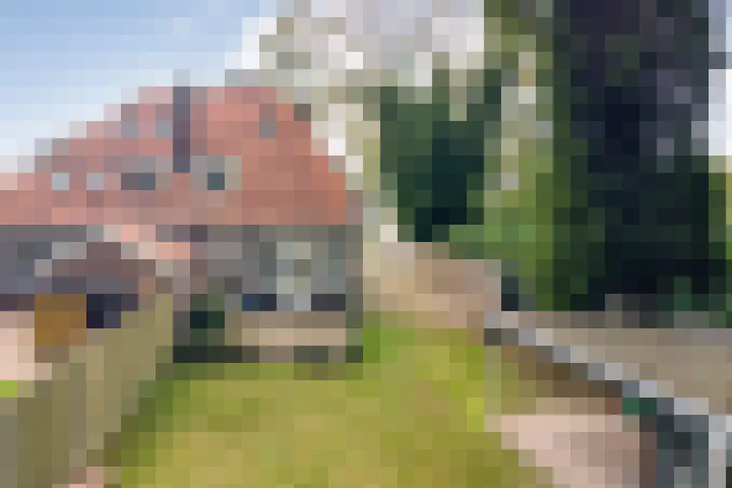 Burg van der Lelysingel 1 Coevorden thumbnail 7