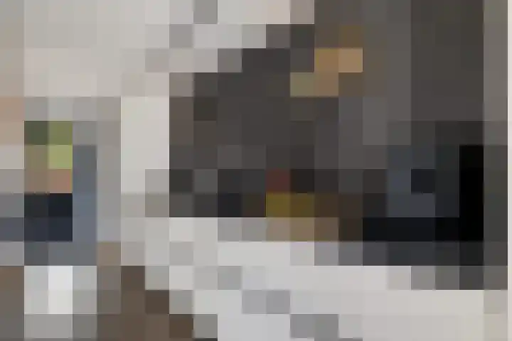 Burg van der Lelysingel 13 Coevorden thumbnail 14