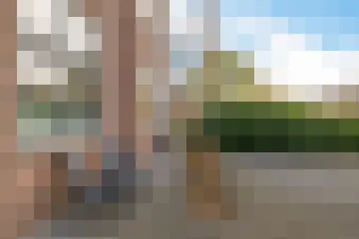 Burg van der Lelysingel 13 Coevorden thumbnail 4