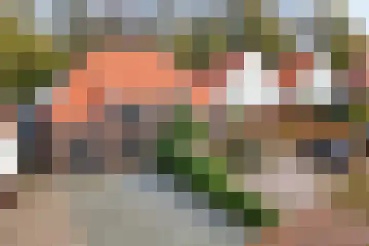 Burg van der Lelysingel 13 Coevorden thumbnail 45